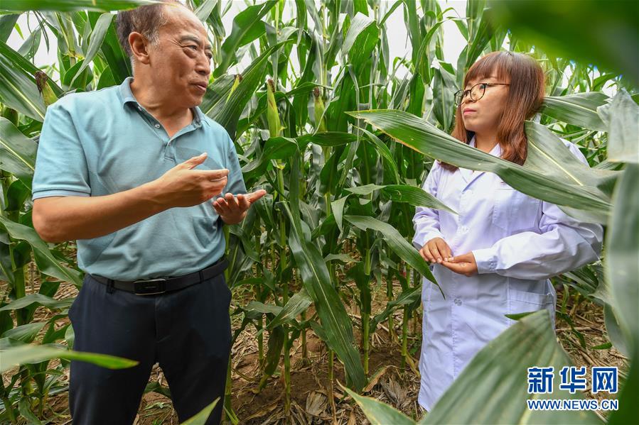 新华网|扎根黑土地的农技员