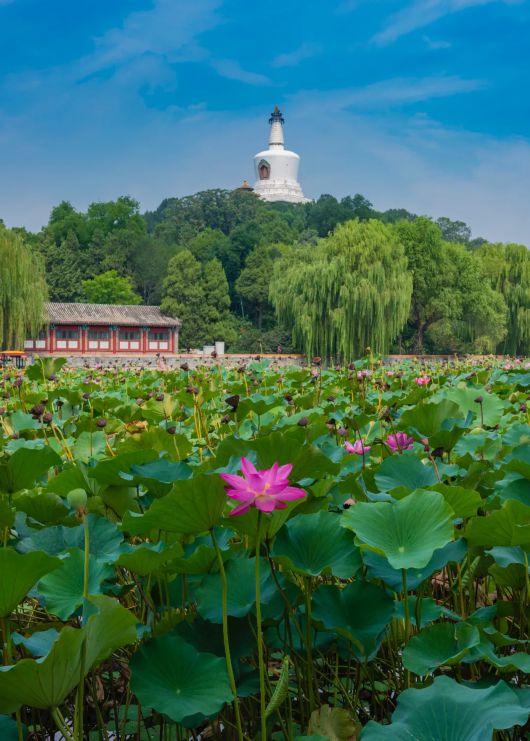 央视新闻|这条“龙脊”，举世无双！