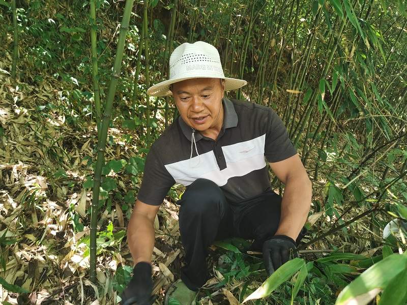 人民日报客户端广东频道|【脱贫攻坚万里行】 修通 “富民路”，笋山变金山