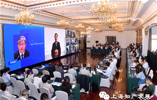 上海市知识产权局网站|“建设国际知识产权保护高地，提升上海城市核心竞争力”研讨会在沪举办