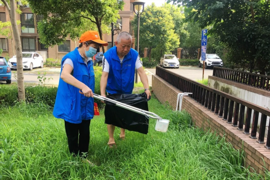 绿色青浦|272级台阶“爬”出居民的认同感 青浦这支志愿者队伍助力“双创”