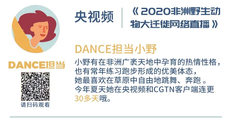 央视新闻|趣盘点：中央广播电视总台暑期节目新意连连、亮点多多