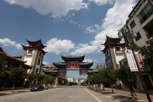 上海嘉定|楚雄唯一一个“国务院挂牌督战村”现在怎样？嘉定区党政代表团现场考察