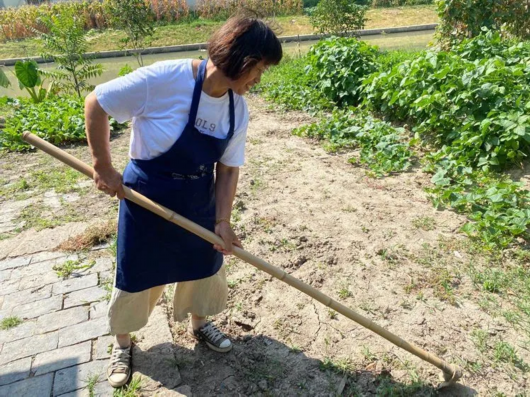 上海嘉定|这些沦为“老古董”的农具 你能叫出几样？