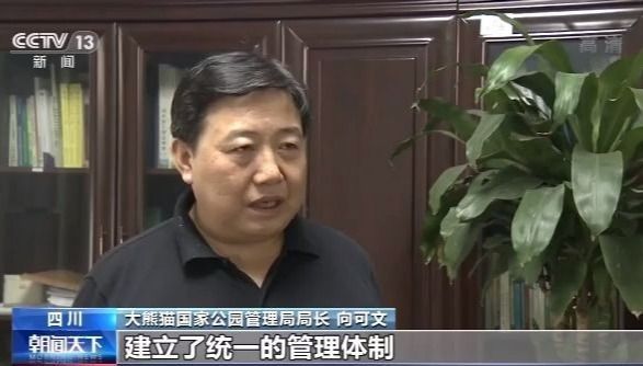 央视新闻|大熊猫等10个国家公园体制试点正在评估，正式名单年底出台