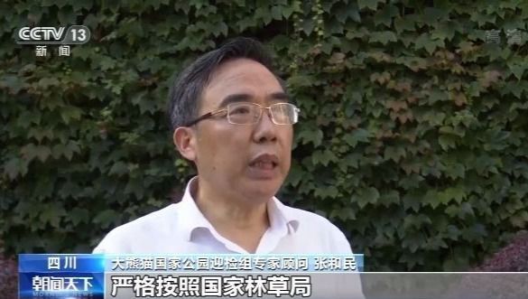 央视新闻|大熊猫等10个国家公园体制试点正在评估，正式名单年底出台