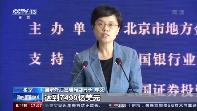 央视新闻|2020年中国国际服务贸易交易会丨外汇局副局长：外汇领域改革开放坚定不移