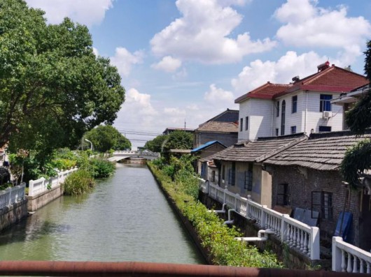 松江这个镇河道绿化种植超31万平 打造"一河一品"美丽乡村景观