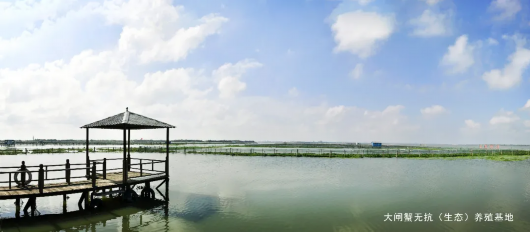 上海黄浦|蟹粉拌面、蟹油小馄饨……这家老字号大闸蟹自助晚餐月底回归！