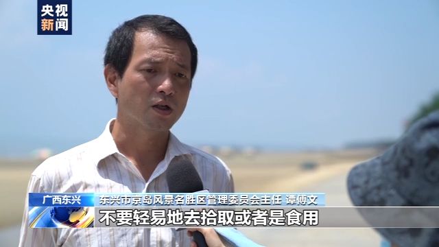 央视新闻|大量死鱼、榴莲、猪蹄遍布海滩 粤桂海滩为何频现“另类海货”？