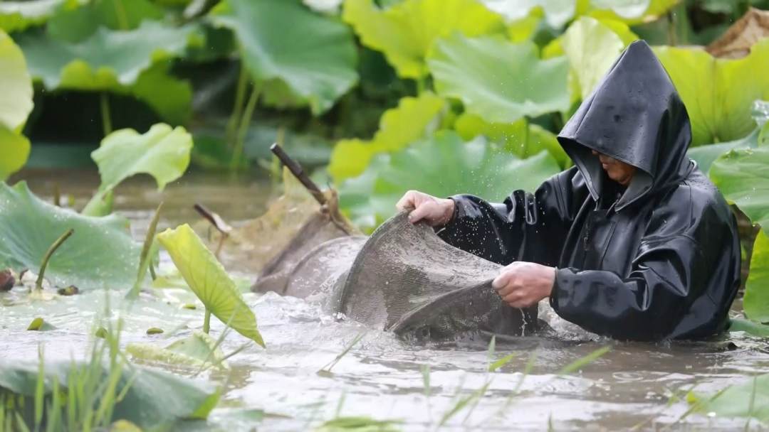 走向我们的小康生活：保山施甸：绿水青山就是咱致富的“靠山”.mp4_20200907_160611.543.jpg?x-oss-process=style/w10