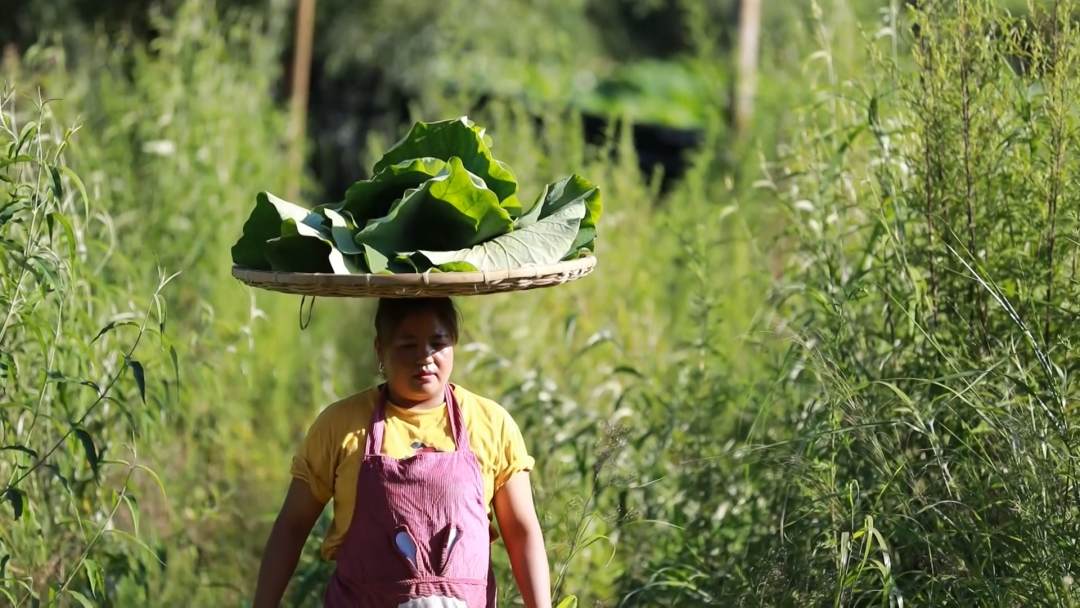 走向我们的小康生活：保山施甸：绿水青山就是咱致富的“靠山”.mp4_20200907_185427.228.jpg?x-oss-process=style/w10