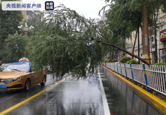 央视新闻客户端|台风“海神”已停止编号 余威仍在黑龙江