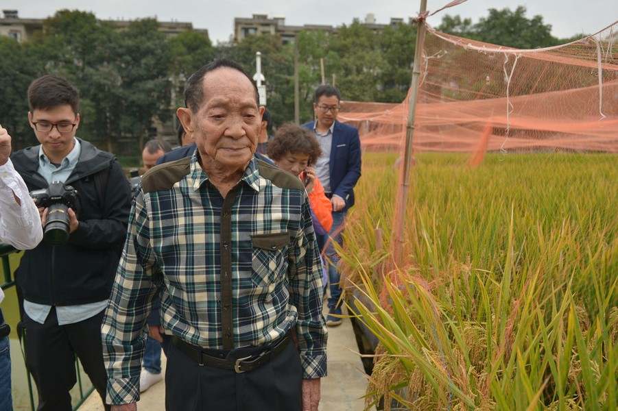 光明网|袁隆平为何呼吁更多年轻人从事农业