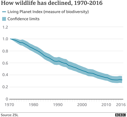 近50年来全球野生动物数量锐减逾三分之二