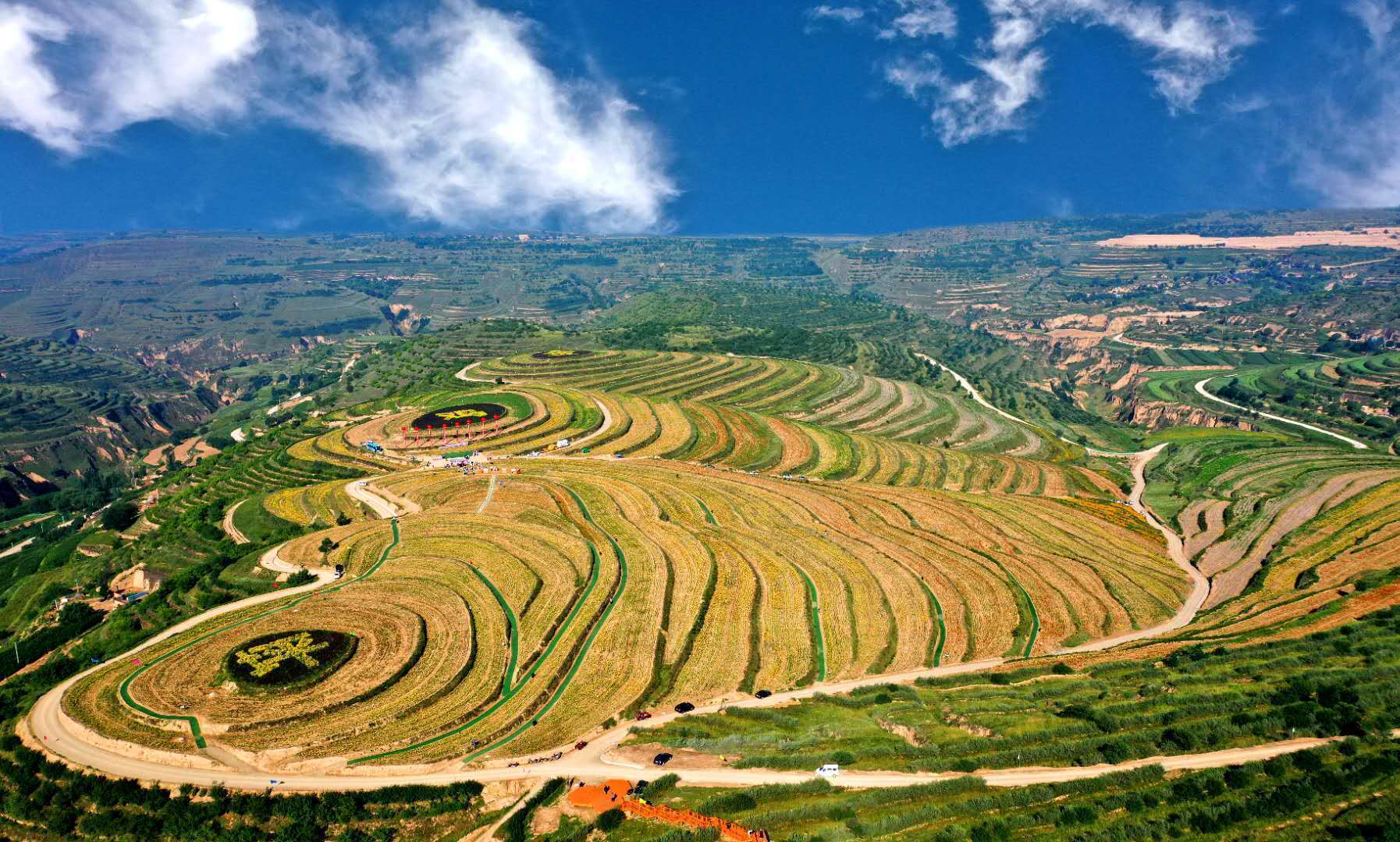 14.jpg?x-oss-process=style/w10