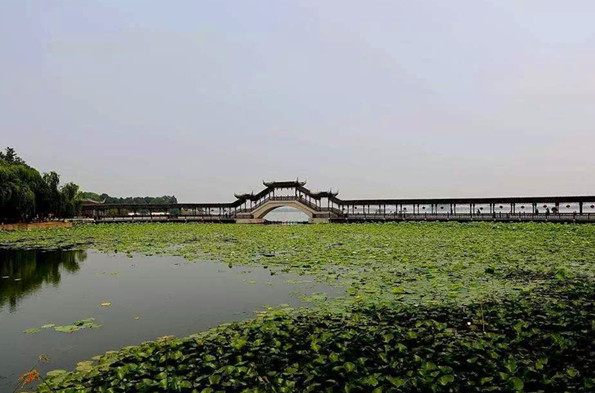 锦溪古镇 我本清雅.jpg