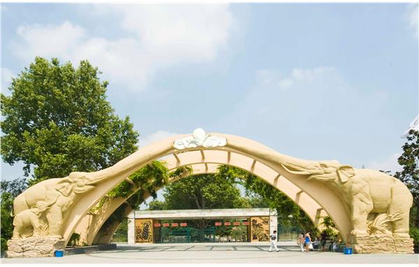 上海动物园旅游节期间门票半价优惠