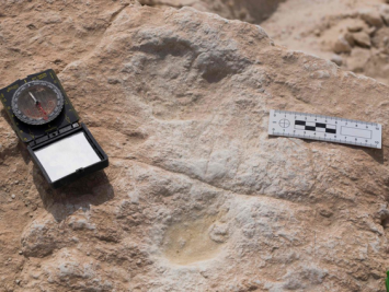 科学家在干旱的阿拉伯半岛发现了12万年前的人类脚印(1)(1)101.png