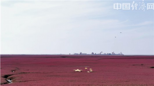中国经济网|【幸福东北】盘锦“醉美”红海滩 生态家园河海之恋的鲜活证据