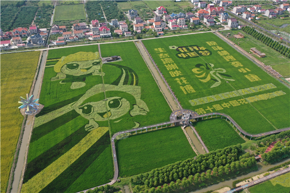 东方网|相约海上橘洲同游工业线路 首届上海长兴岛工业生态旅游文化节启幕