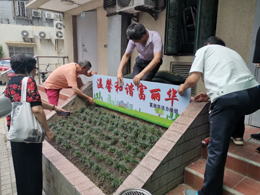 上海黄浦|“秋天里第一个”美丽楼道，居民心里比奶茶甜