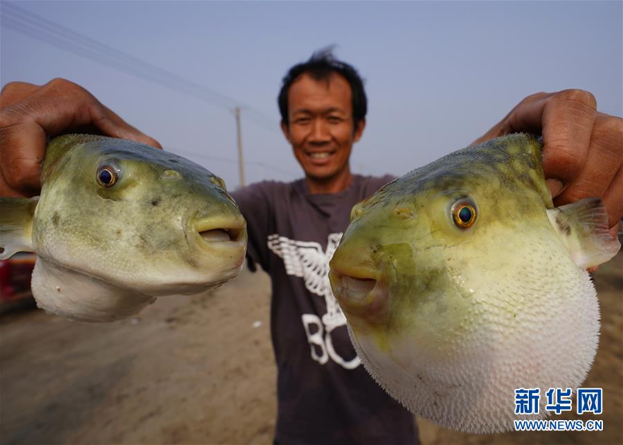 （社会）（4）“中秋”蟹肥虾鲜鱼香时