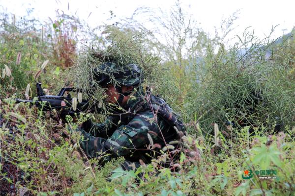 中国军网|捕歼战斗在山间打响 武警特战队员迅速出击