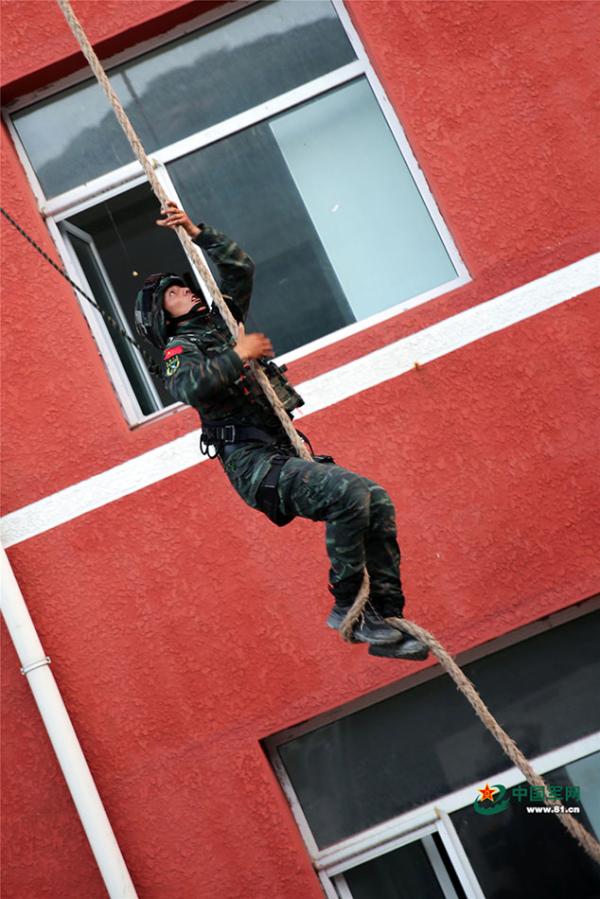 中国军网|捕歼战斗在山间打响 武警特战队员迅速出击