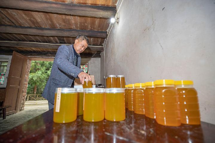 新华网|黄连苦蜂蜜甜旅游乐——重庆南川区庙坝村脱贫致富记