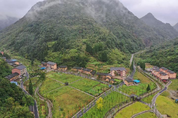 新华网|黄连苦蜂蜜甜旅游乐——重庆南川区庙坝村脱贫致富记