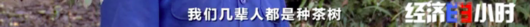 央视财经|这里的“土坷垃”大有文章！有村民一年能收入八万元！茅台、五粮液都用它！