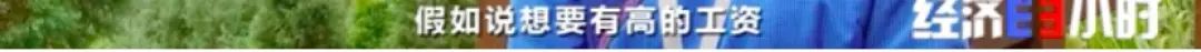 央视财经|一碗蛋炒饭，火了一条街！小店日入3000元！炒饭“产业链”，你见过吗？