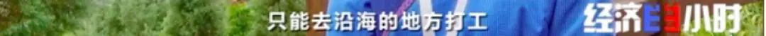 央视财经|一碗蛋炒饭，火了一条街！小店日入3000元！炒饭“产业链”，你见过吗？