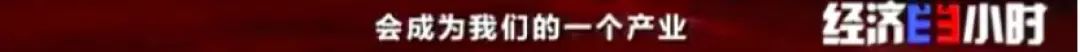 央视财经|一碗蛋炒饭，火了一条街！小店日入3000元！炒饭“产业链”，你见过吗？