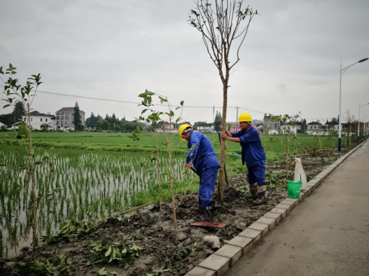 绿色青浦|乡村公路好走了，沿途风光更美了，来重固小镇走一走吧