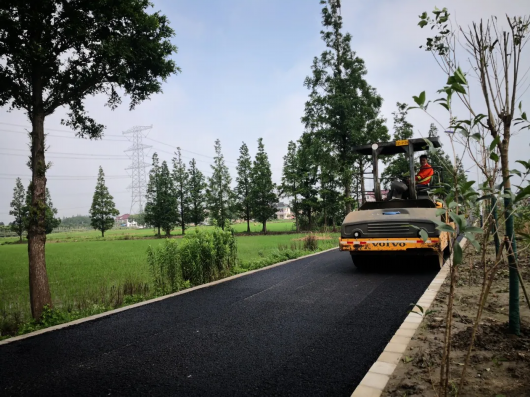 绿色青浦|乡村公路好走了，沿途风光更美了，来重固小镇走一走吧