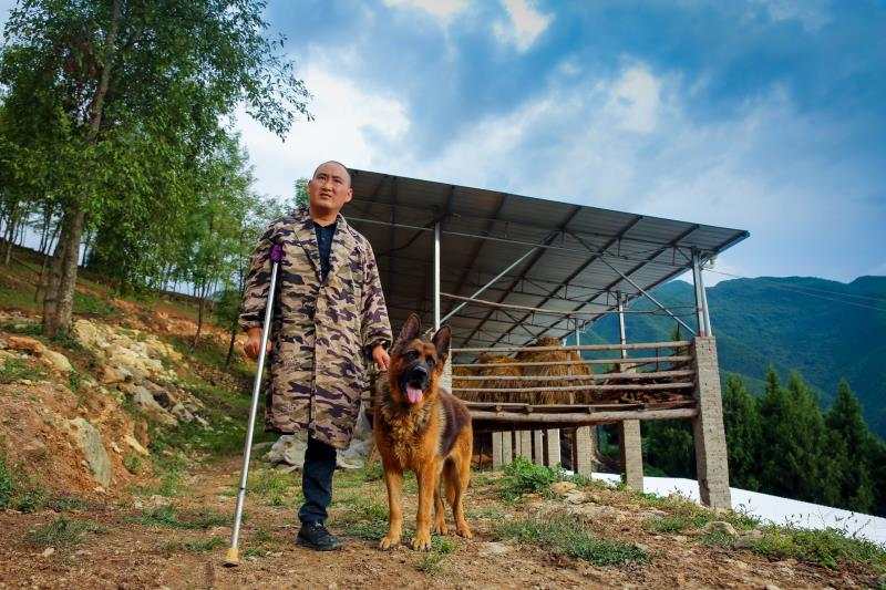 人民日报客户端重庆频道|奉节：“独脚”羊倌走出脱贫致富路