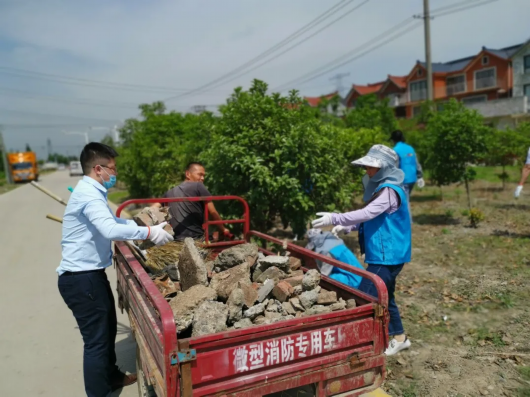 绿色青浦|大报聚焦小镇！重固，看得见的精致好风光