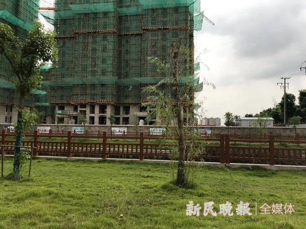 新民晚报|懵圈！沪上一新建小区，竟无路可通？！所有人，都不淡定了……