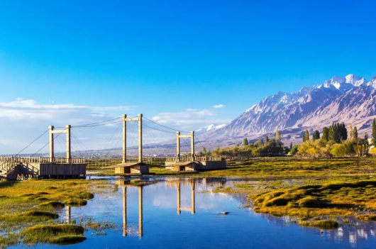 上海宝山|胡杨林黄了，乘“宝山号”包机去看新疆美景