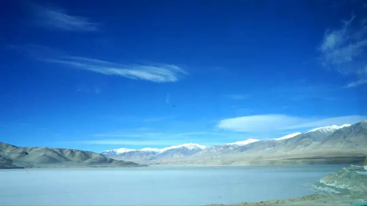 上海宝山|胡杨林黄了，乘“宝山号”包机去看新疆美景