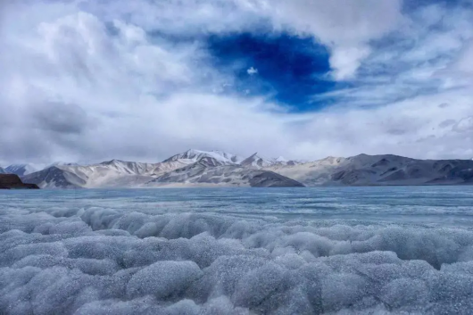 上海宝山|胡杨林黄了，乘“宝山号”包机去看新疆美景