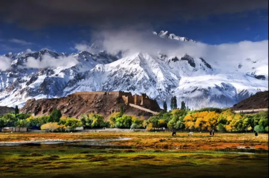 上海宝山|胡杨林黄了，乘“宝山号”包机去看新疆美景