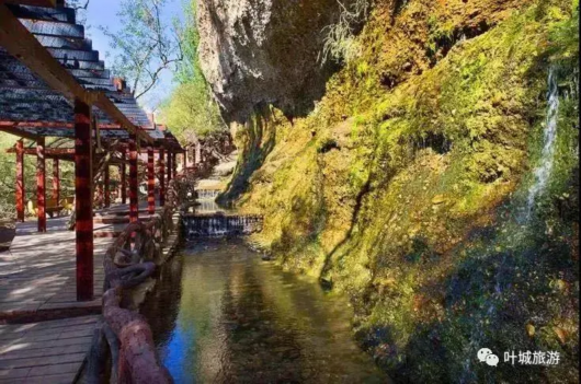 上海宝山|胡杨林黄了，乘“宝山号”包机去看新疆美景