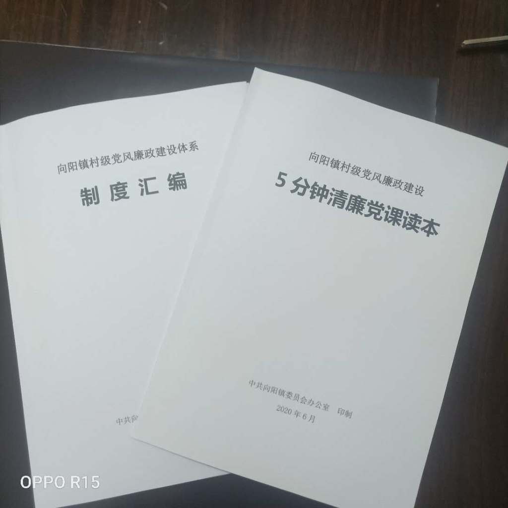 川观新闻|规范小微权力运行 广汉向阳开设“会前5分钟”廉洁课堂