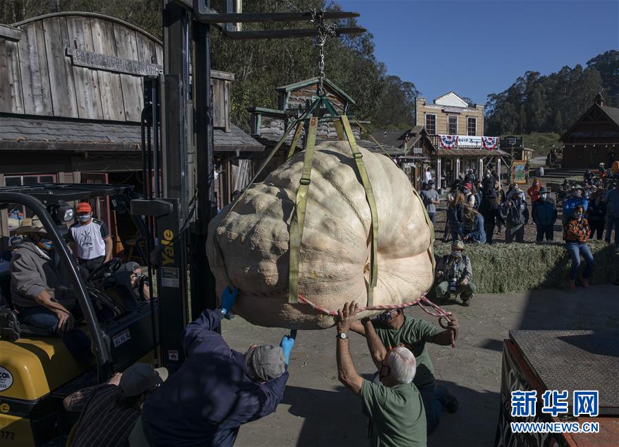 新华网|南瓜称重大赛在美国加州举行