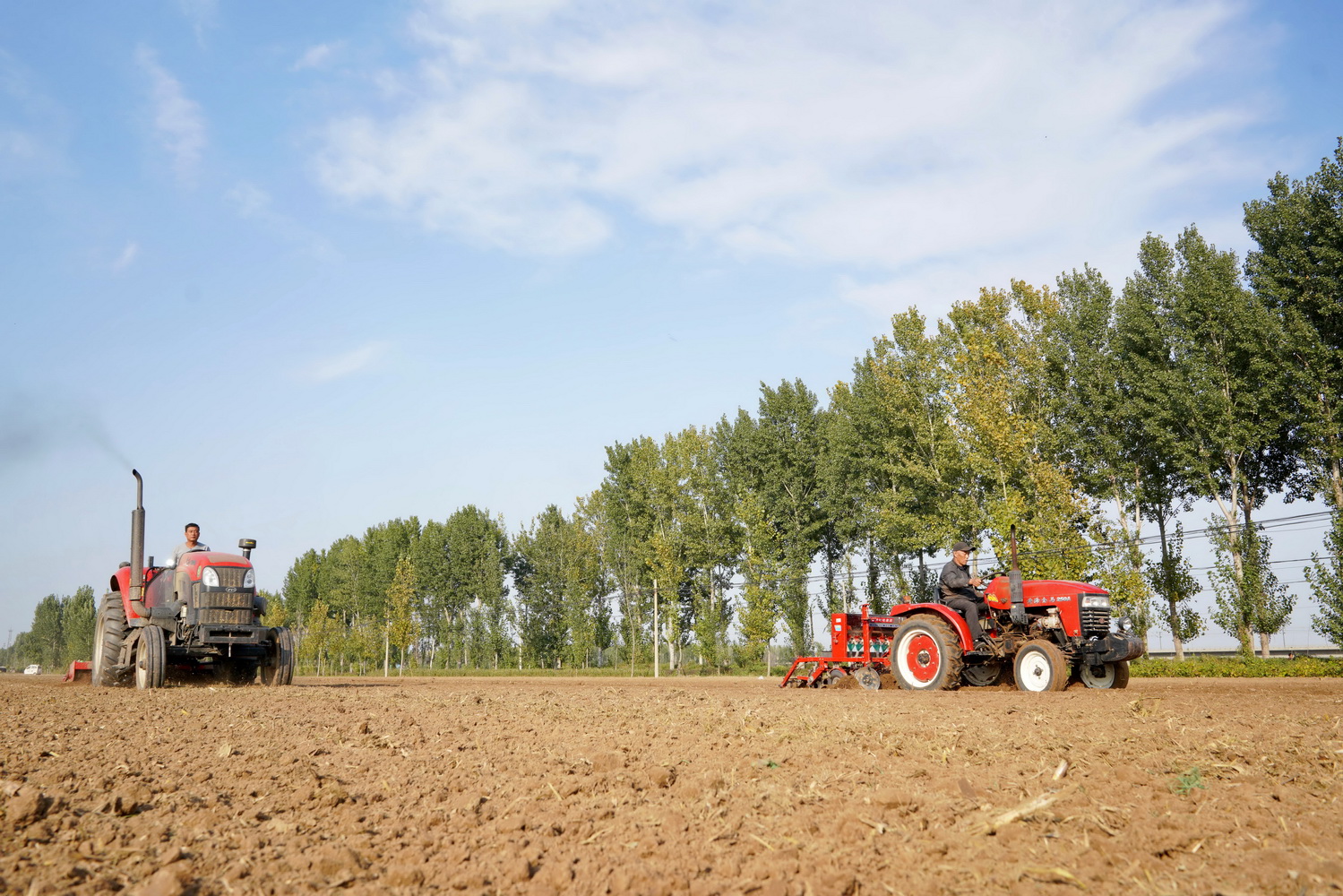 秋收还没结束,新一轮播种又来了