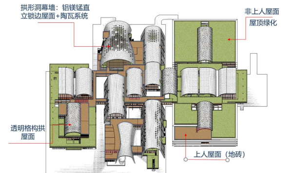 上海市规划和自然资源局|漫步南桥源，领略东方美谷魅力古华公园