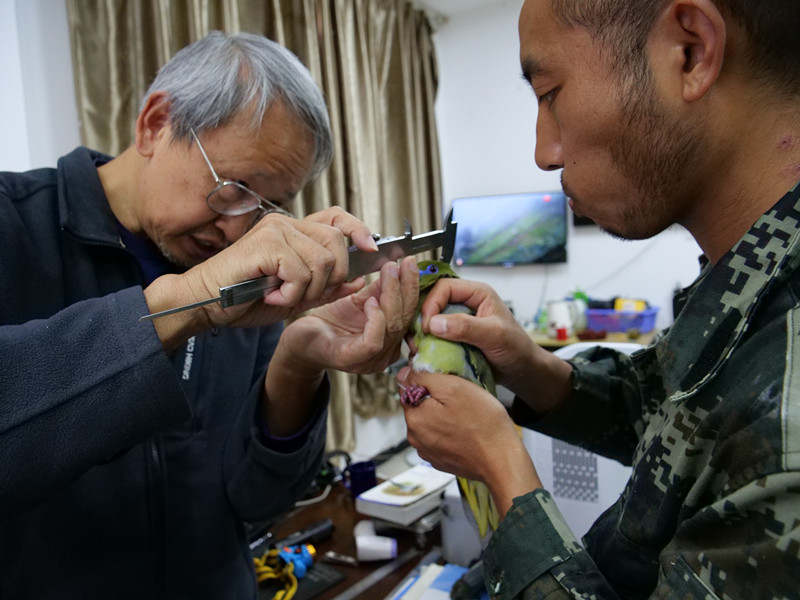 人民日报客户端云南频道|我国纪录鸟种再添新成员